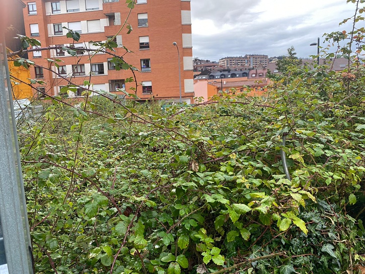 -foto-oviedo-5.jpg